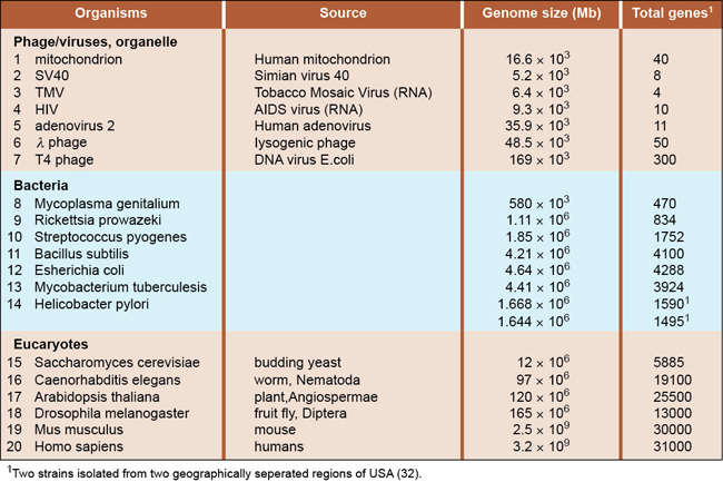 Dna Structure And Sequencing Biology For Ap Courses Openstax