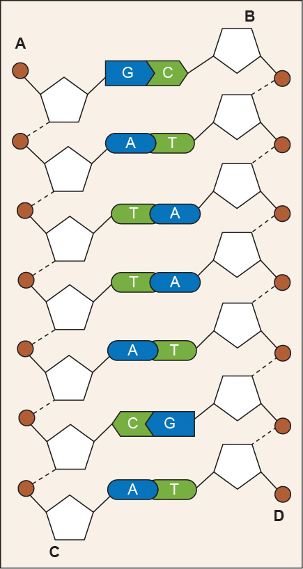 ap biology critical thinking questions