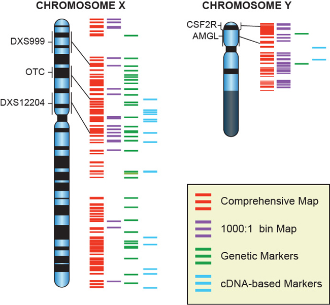 Ch. 17 Test Prep for AP® Courses - Biology for AP® Courses | OpenStax