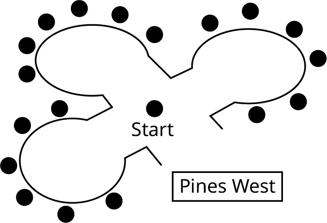 A map of Pines West. The map shows a start point at the center leading to three paths. Each path has six vertices. The start point is indicated by a vertex.